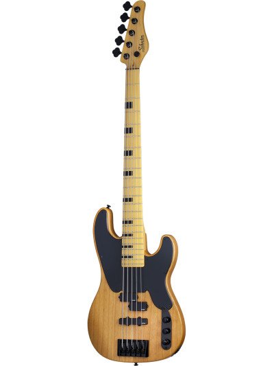 BAJO SCHECTER ELECT. MODEL-T SESSION 5