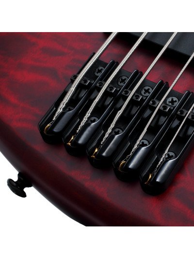 BAJO SCHECTER ELECT. STILETTO CUSTOM-5