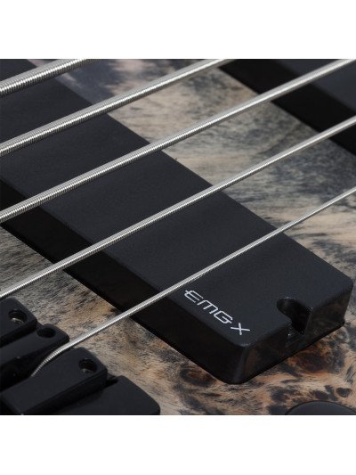 BAJO SCHECTER ELECTRICO RIOT-5