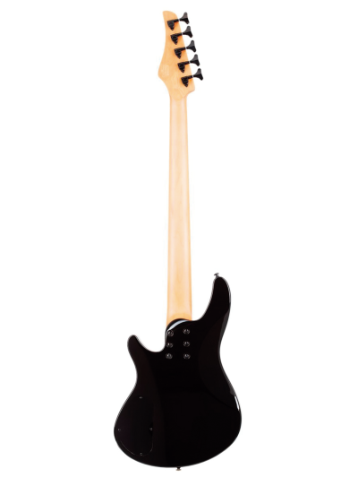 GUITARRA SCHECTER ELECT. C-5 STANDARD