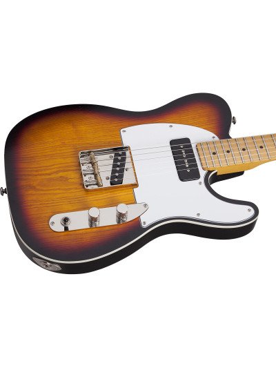 GUITARRA SCHECTER ELECT. PT SPECIAL