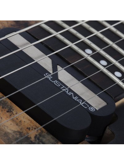 GUITARRA SCHECTER ELECT. REAPER-6 FR S