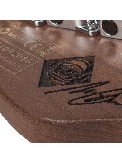 GUITARRA SCHECTER NICK JOHNSTON SIGNATURE PT
